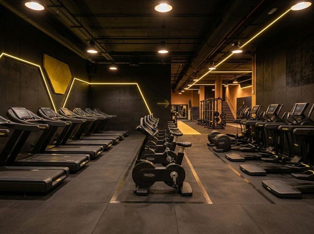 Row of cardio machines