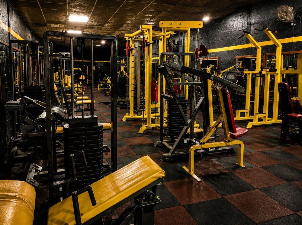 Main gym floor with free weights and machines